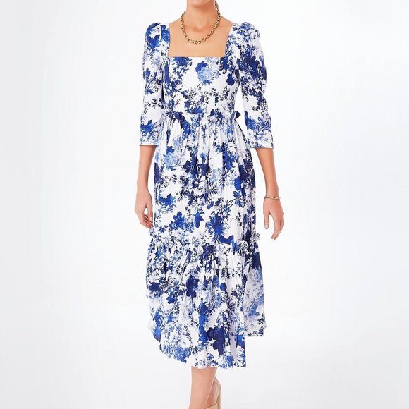Cara Cara Dresses & Skirts - NWT Cara Cara x Tuckernut Blue Hill Dress Nordic Fields Blue Size 8